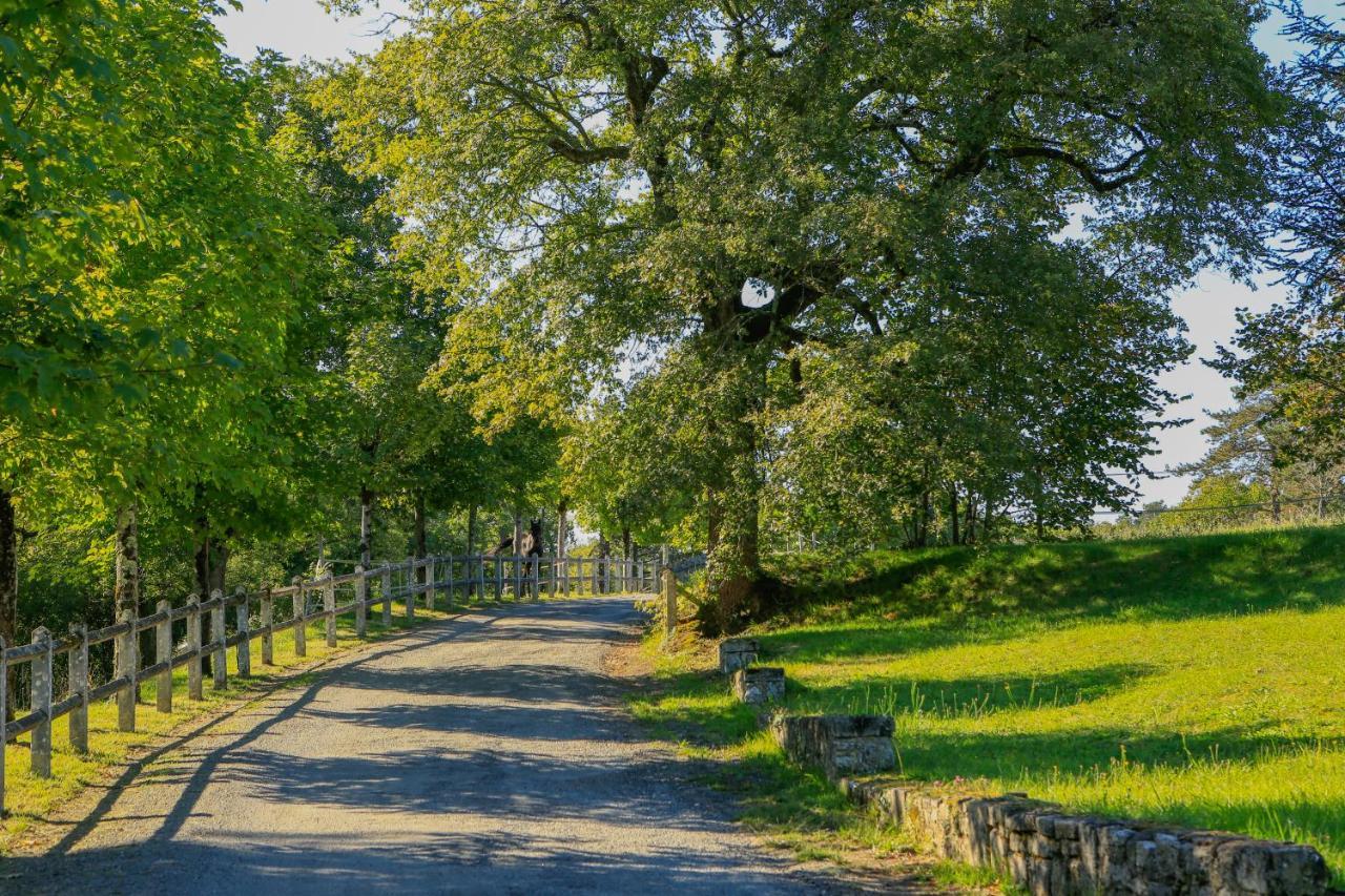Logis Hotels Domaine Du Chatelard Dirac Bagian luar foto