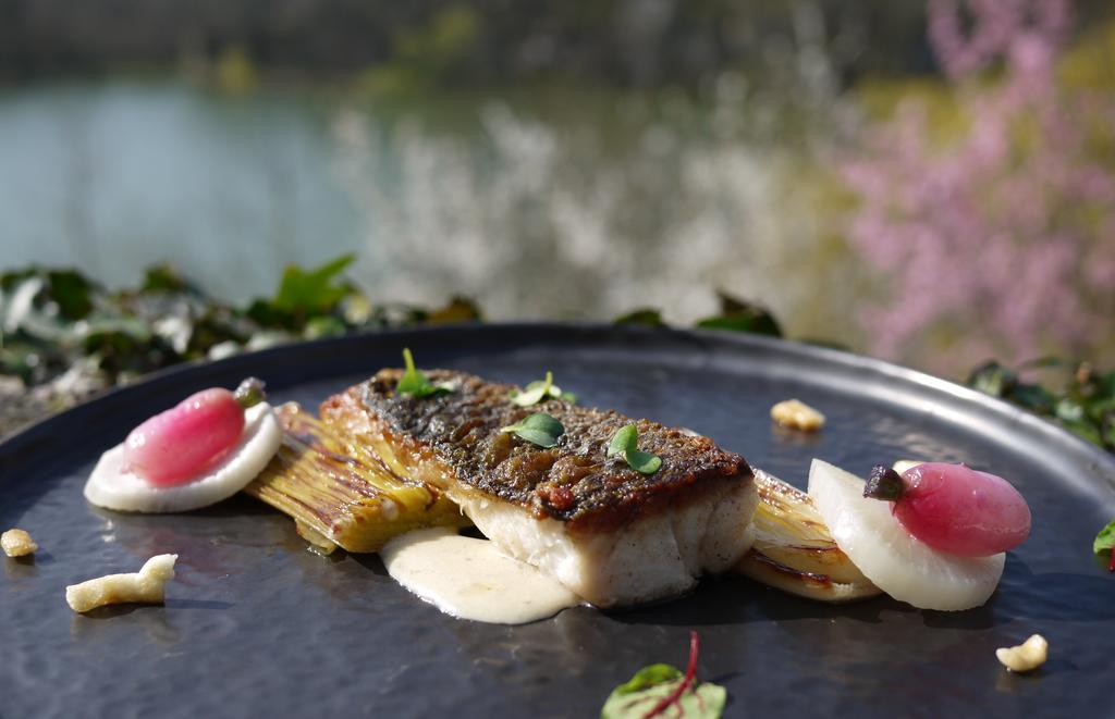 Logis Hotels Domaine Du Chatelard Dirac Bagian luar foto